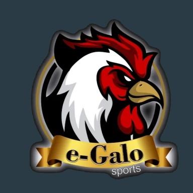 E-GALO (BRASIL)