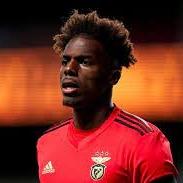 LE NUNO TAVARES