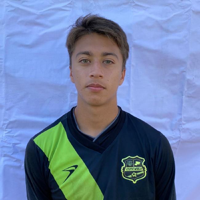 MARCO ANTONIO ALBA RAMOS