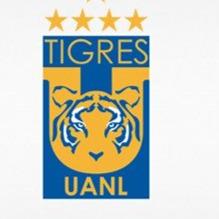 TIGRES[Cristian cuesta]