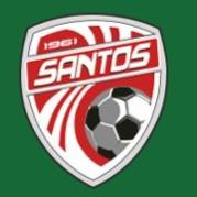 SANTOS DE GAVAIL[ Emi Piconne ]