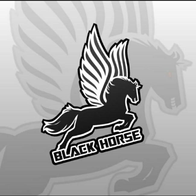 BlackHorse