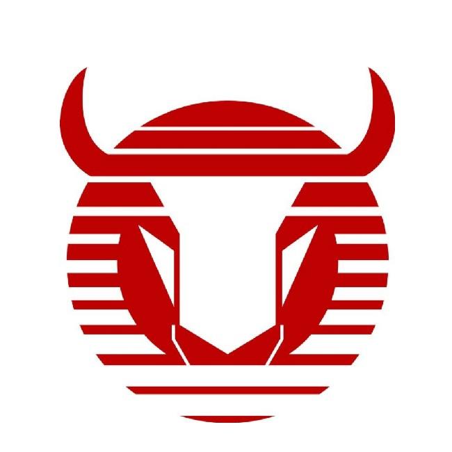 Toros Neza