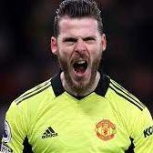 GOL DE GEA