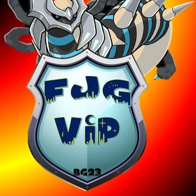 FJG VIP