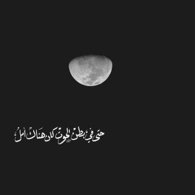 Mohammad H Taha