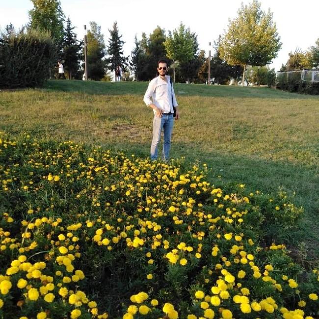 Ali Hamid Tale Elali