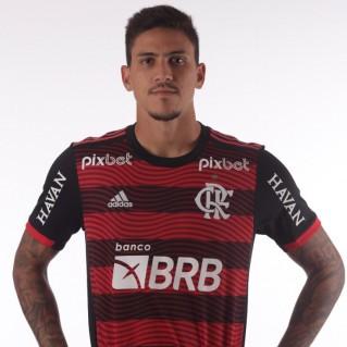 Pedro
