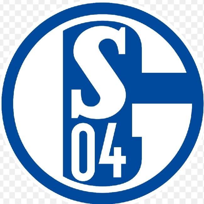 Schalhcke 04