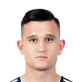 Daniel Stefulj