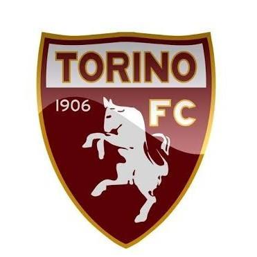 Torino Football Club (Ricardo)