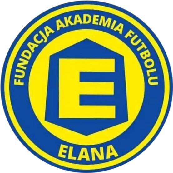 Elana Toruń Esport