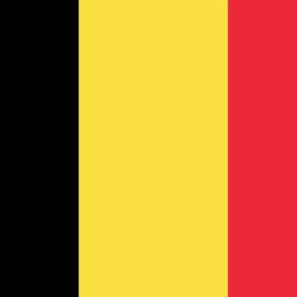 DVD Bruyne