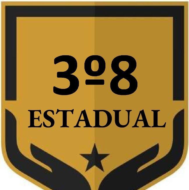 3º8 Estadual