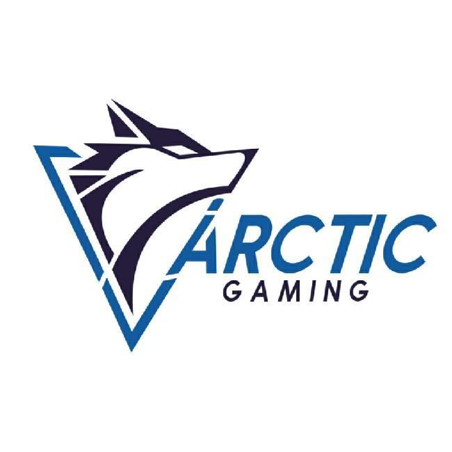 ARTIC GAMING