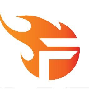 TEAM FLASH