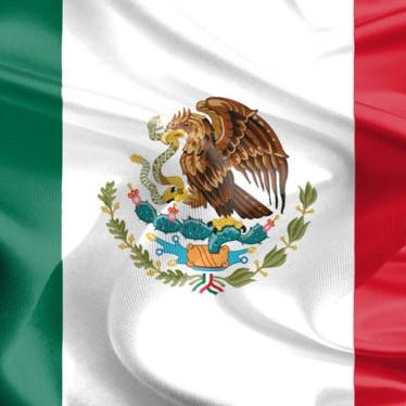 Team Patronum (Isaura/Ivet)