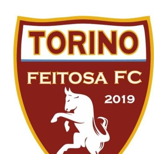 Torino Feitosa