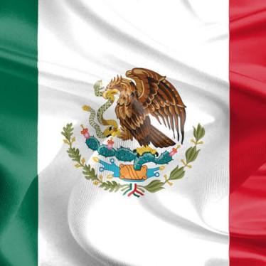 Team Omega (Maria/Fadava)