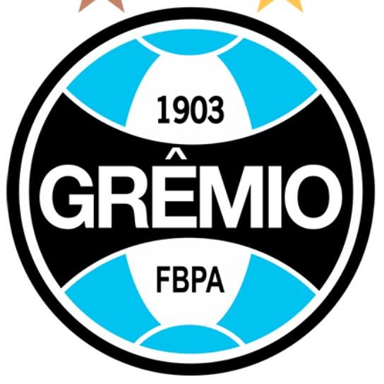 Grêmio/Anderson Ferraz