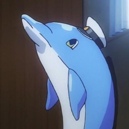 Mr.Dolphin