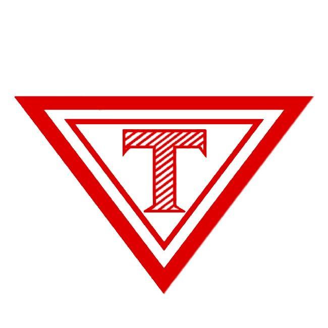 Associação Temenorense de Futebol