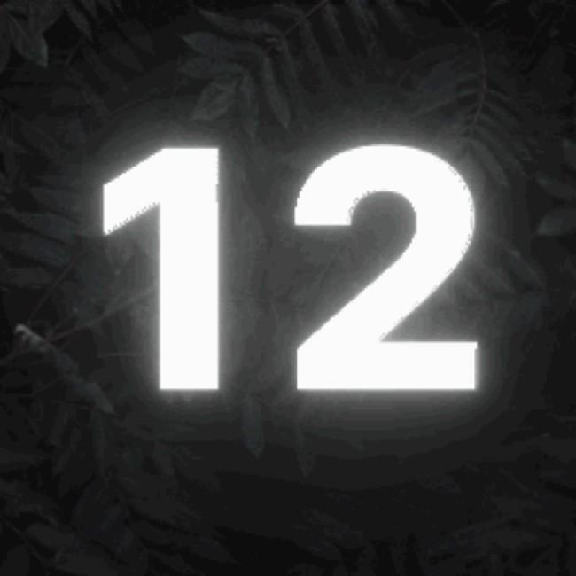 New Era 12