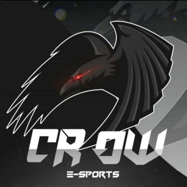 CROW ESPORTS