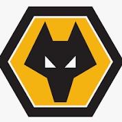 WOLVERHAMPTON WANDERES FOOTBALL CLUB DF
