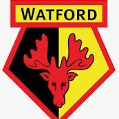 WATFORD FOOTBALL CLUB DF