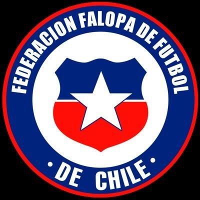 Selección Chilena Falopa