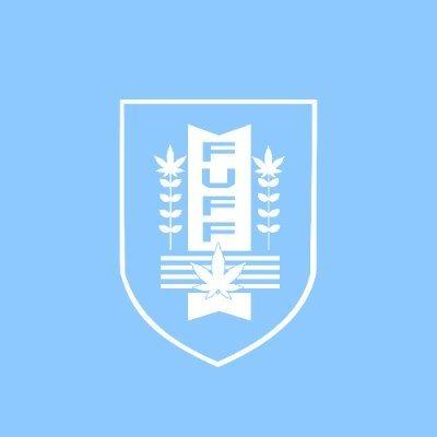 Federación Uruguaya de Fútbol Falopa