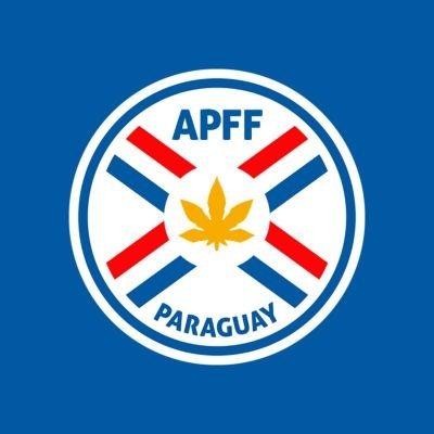 Selección Paraguaya Falopa de Fútbol