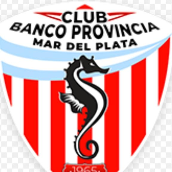 BANCO PROVINCIA NEGRO