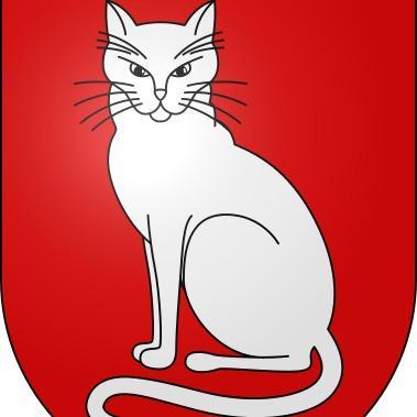 Gatos FC