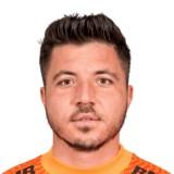 Cristian Balgradean
