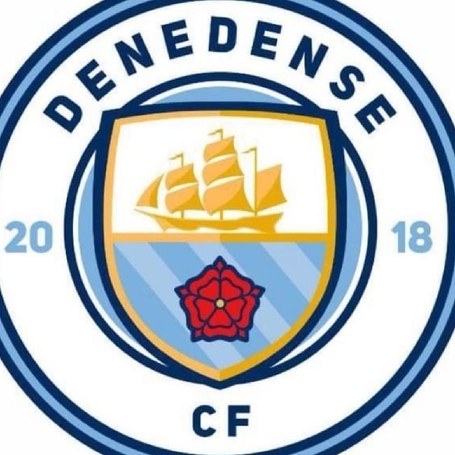 DENEDENSE
