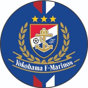 Y. MARINOS