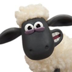 Team Shaun Sheep