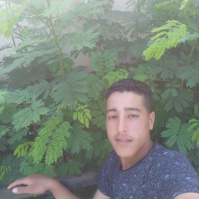 عماد على على