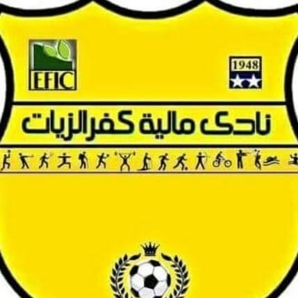 مالية كفر الزيات