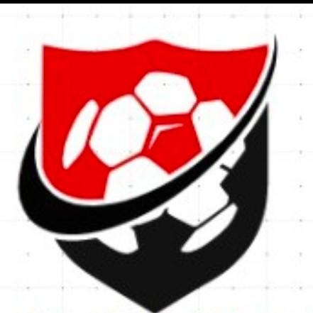 VILLA SOLEDAD FC