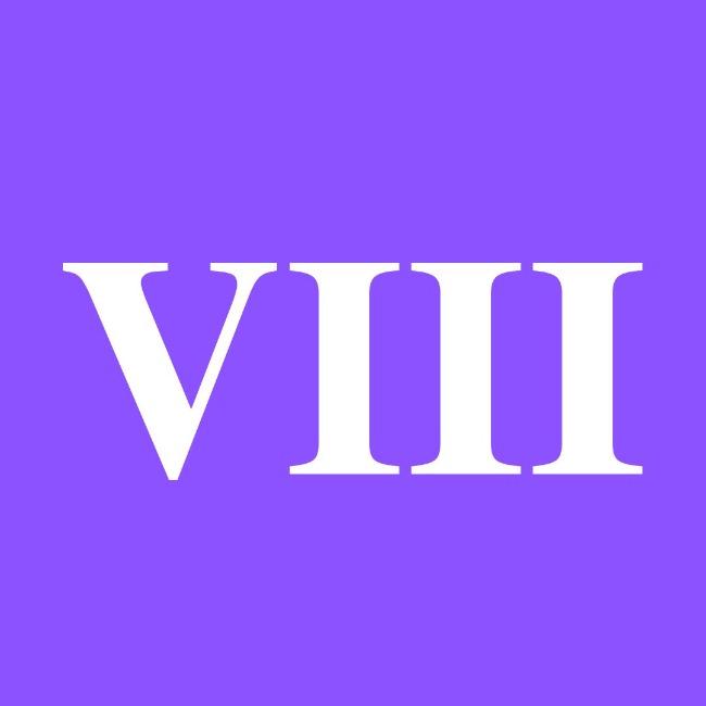 VIII CICLO