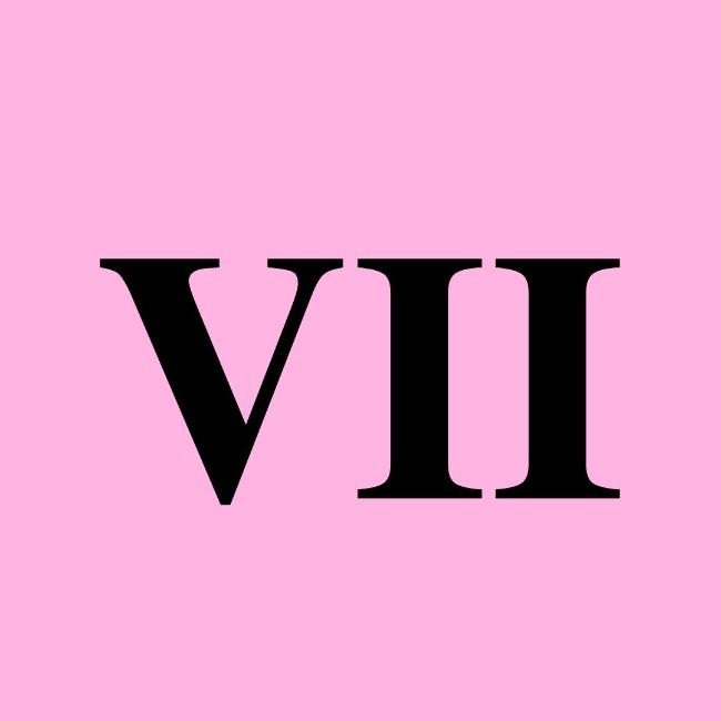 VII CICLO