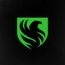 TEAM FALCONS