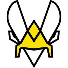TEAM VITALITY