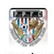 Os pernas de pau fc2