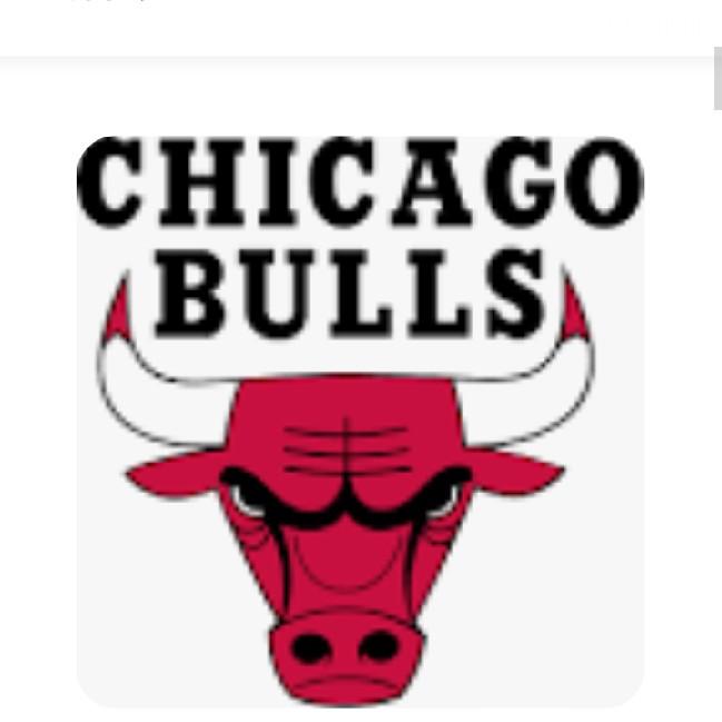 Chicago bulls