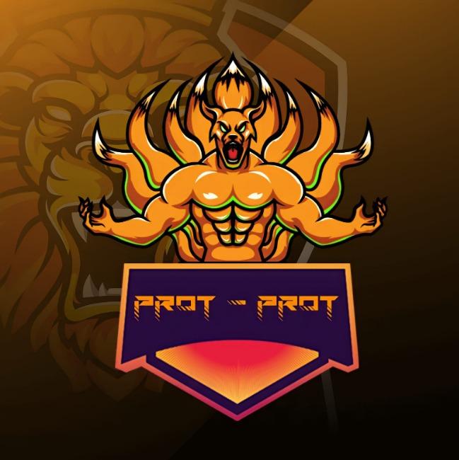 PROT-PROT