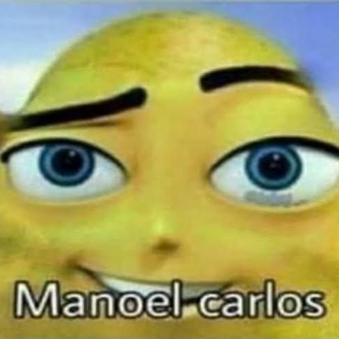 Manoel Carlos